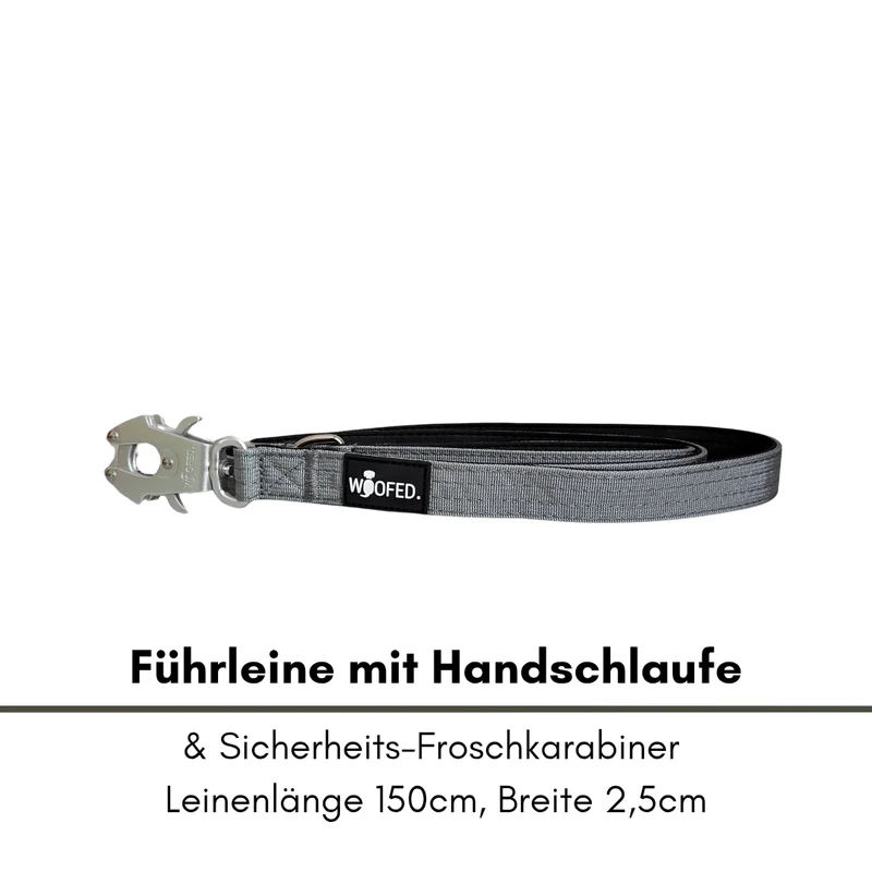 Nylon Tactical Führleine Silver Grey