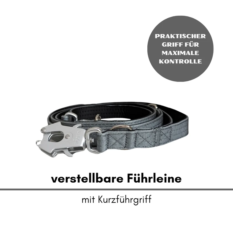 Nylon Tactical Führleine Silver Grey