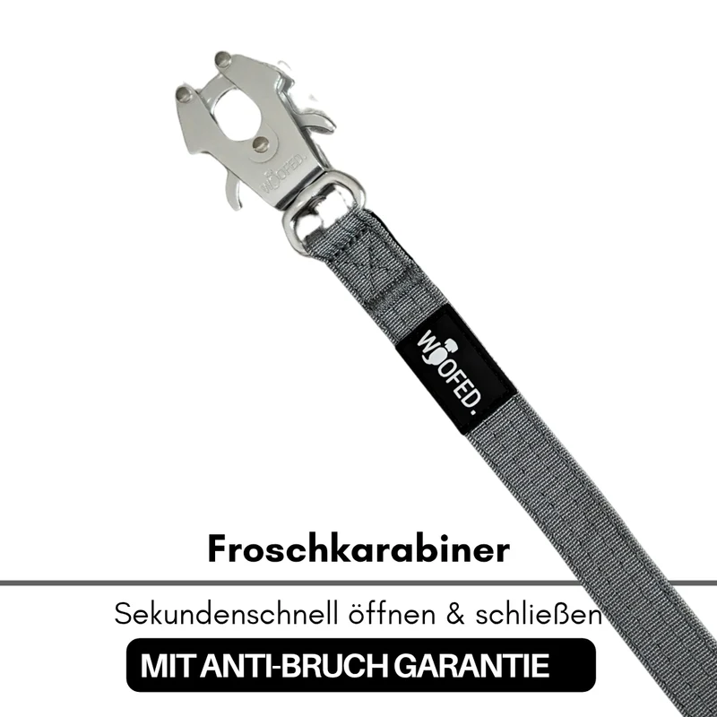 Nylon Tactical Führleine Silver Grey