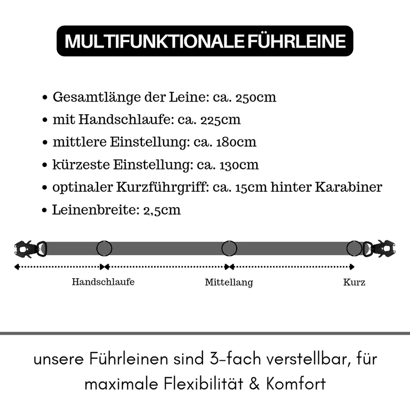 Nylon Tactical Führleine Silver Grey