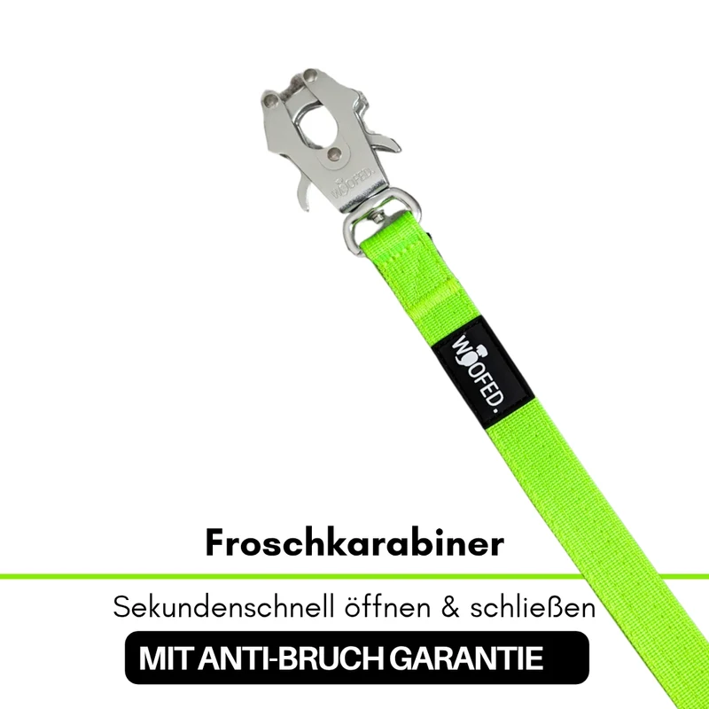 Nylon Tactical Führleine Apple Green