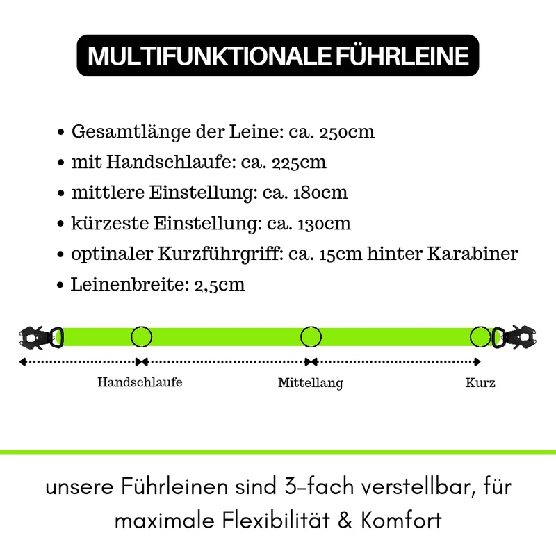 Nylon Tactical Führleine Apple Green