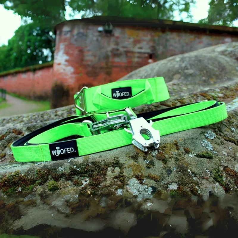 Nylon Tactical Führleine Apple Green
