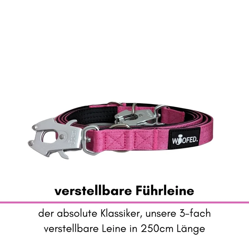Nylon Tactical Führleine Raspberry