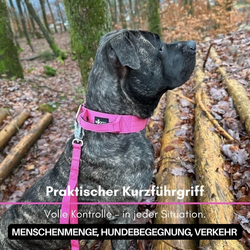 Nylon Tactical Führleine Raspberry