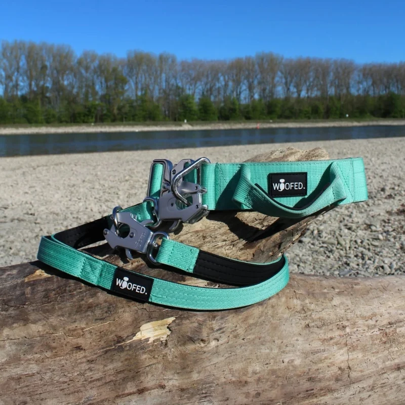 Nylon Tactical Halsband Seafoam