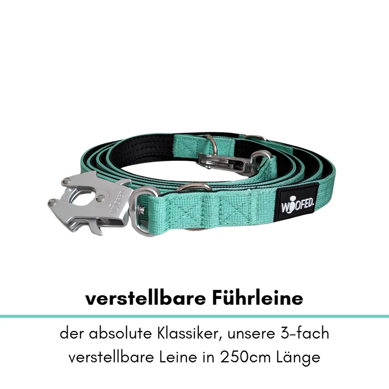 Nylon Tactical Führleine Seafoam
