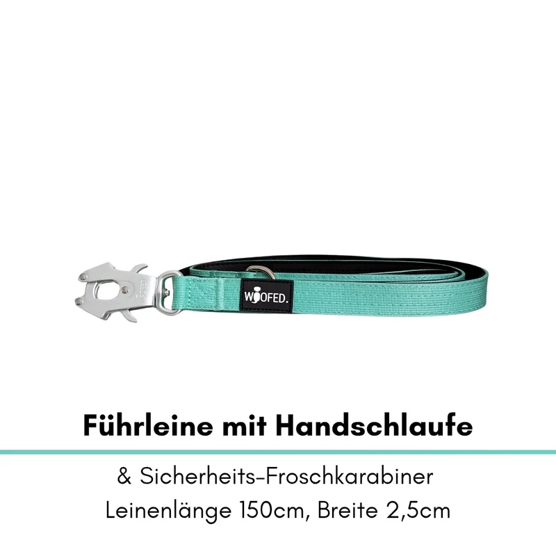 Nylon Tactical Führleine Seafoam
