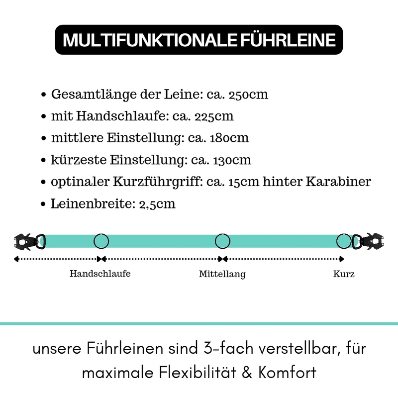 Nylon Tactical Führleine Seafoam