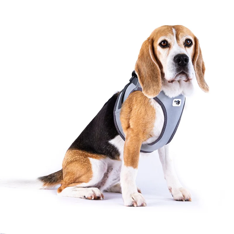 Hundegeschirr Glow Clasp Vest Harness Reflective Grey
