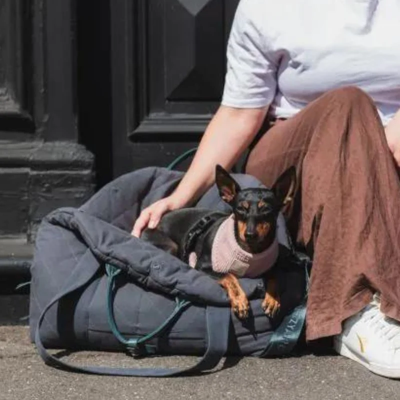 Autositz & Hundetasche Slate Grey