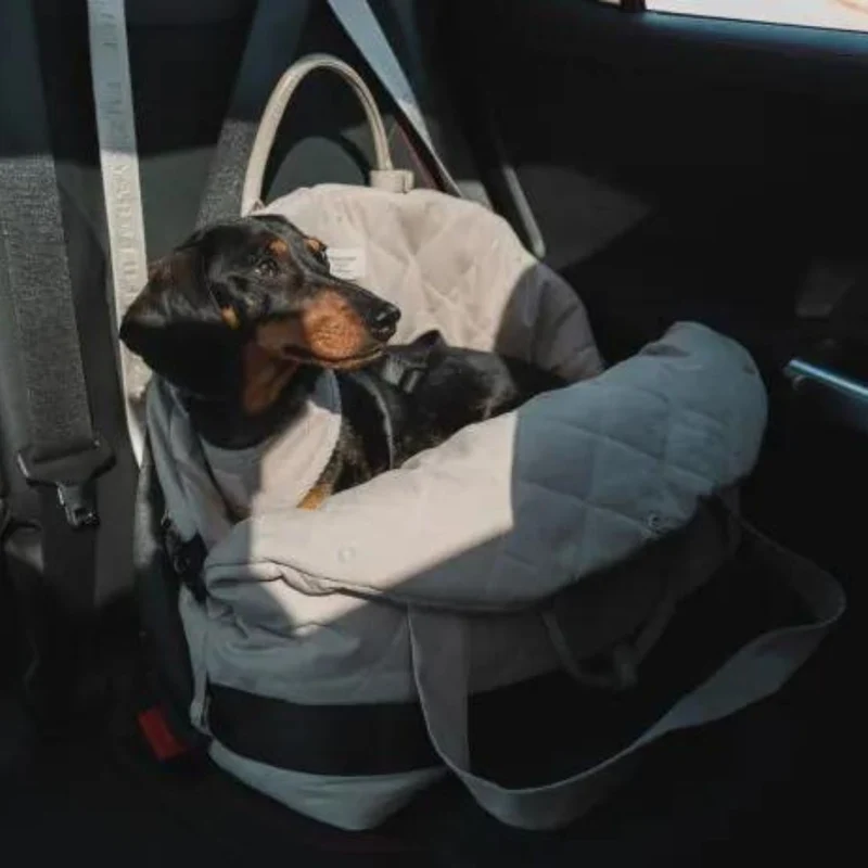 Autositz & Hundetasche Slate Grey
