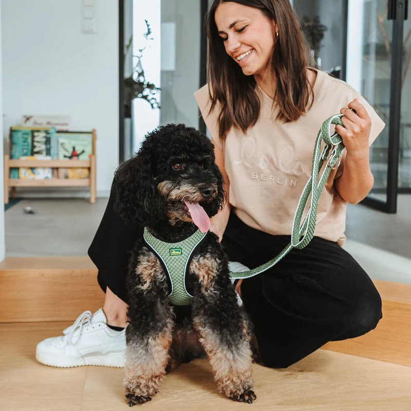 Geschirr Hilo Comfort