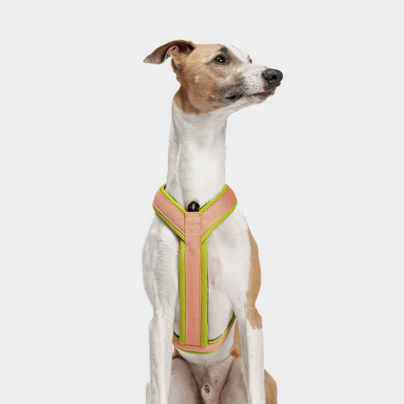 Y-1 Hundegeschirr AKTIV Air-Mesh Peach/Neon Green
