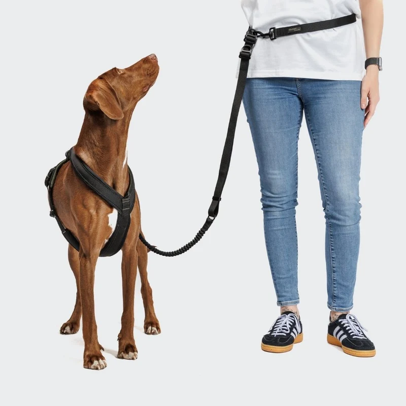 L-2 Jogging-Leine AKTIV Black