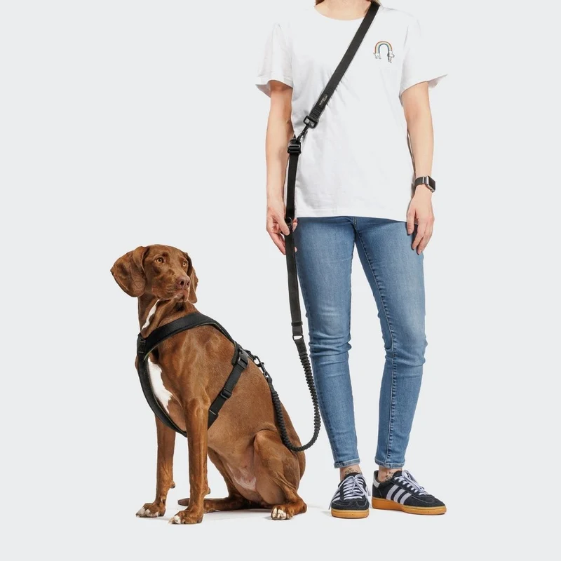 L-2 Jogging-Leine AKTIV Black