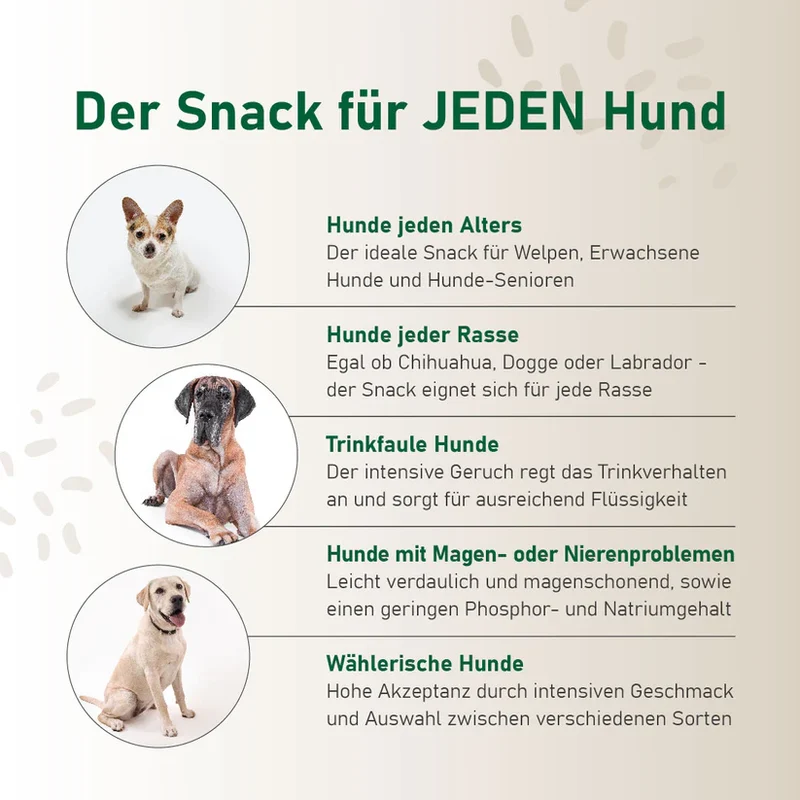 Hundesmoothie Lamm