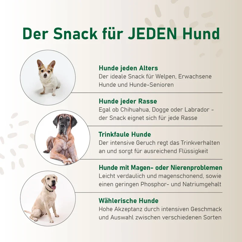 Hundesmoothie Huhn