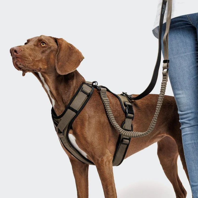 Y-3 Hundegeschirr AKTIV Softshell Olive