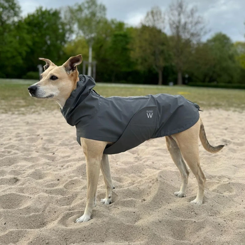 Hunderegenmantel Dublin Platinum C7 x Woofstuff