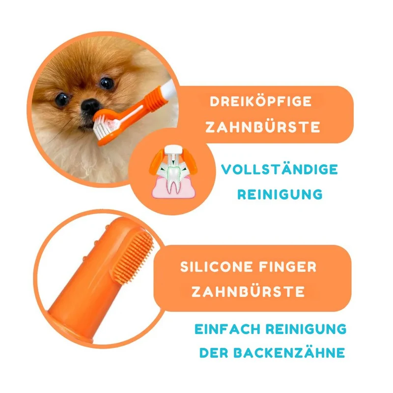 Dental Kit