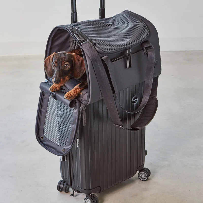 Reisetasche Volata Asphalt