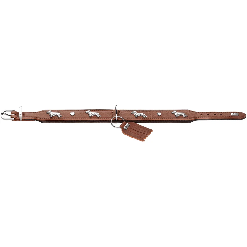Teckel-Halsband München
