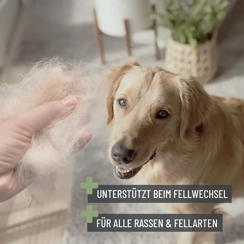 Bürste 2in1