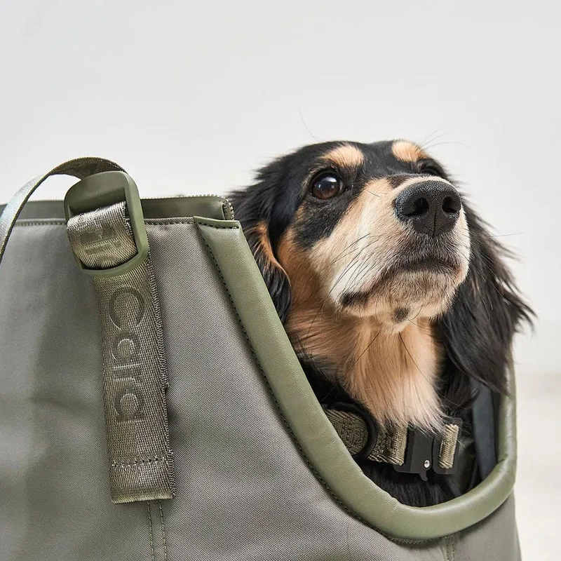 Hundetragetasche Sporta Grolive