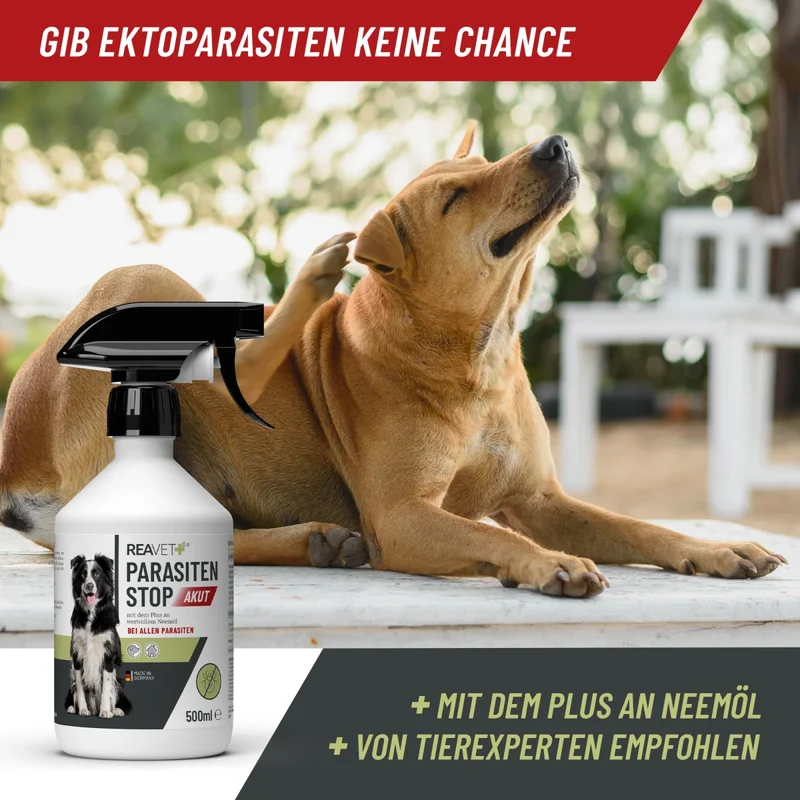 Parasiten Stop AKUT