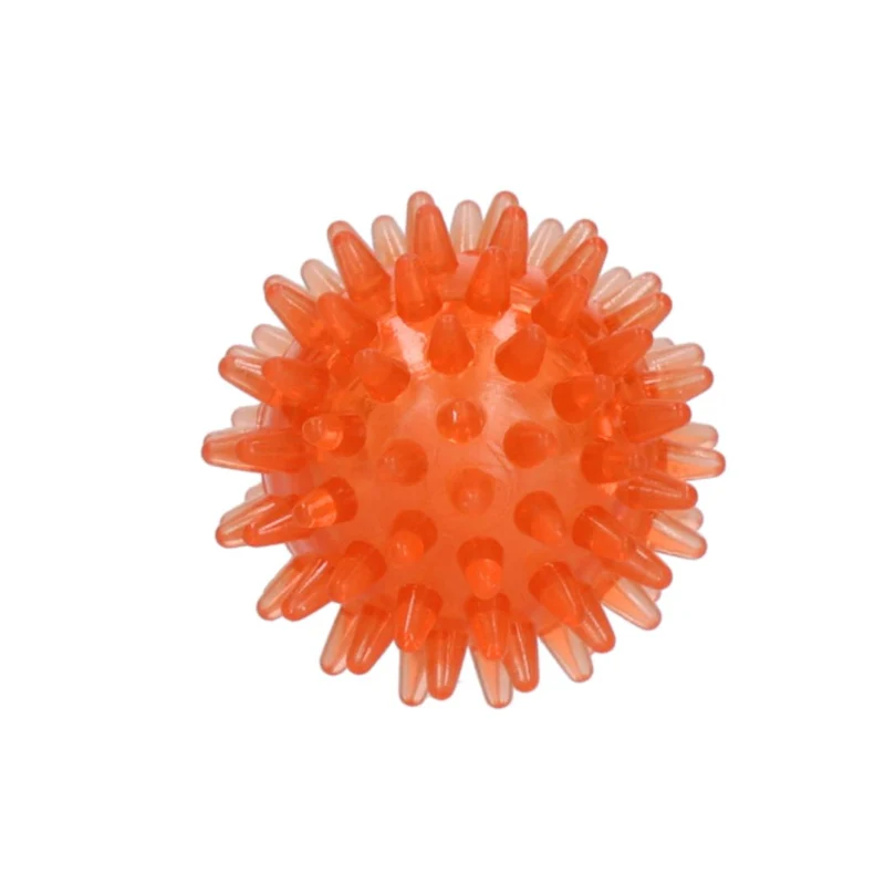 Hundespielzeug Exoplanet Igel-Ball