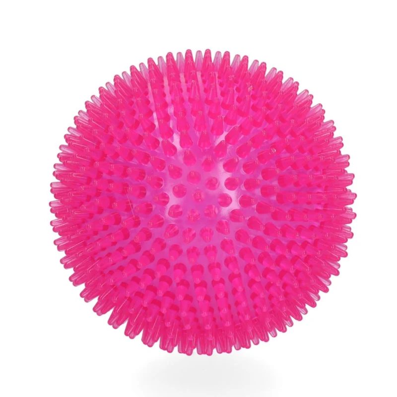Hundespielzeug Exoplanet Igel-Ball