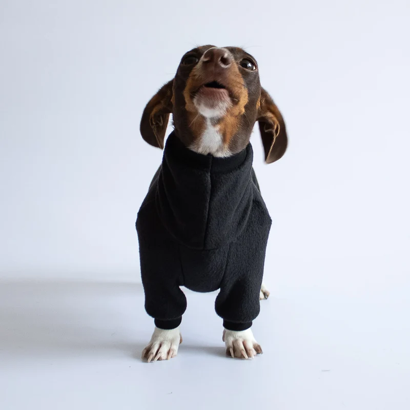 Fleece Overall für Dackel Schwarz