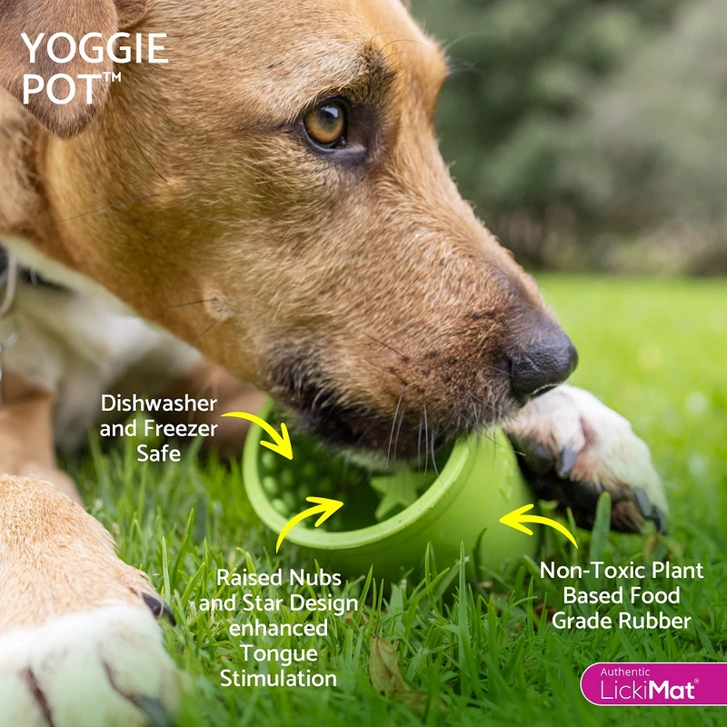 Yoggie Pot verschiedene Farben