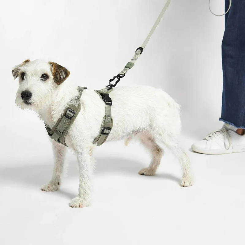 Modena Hundegeschirr Grolive