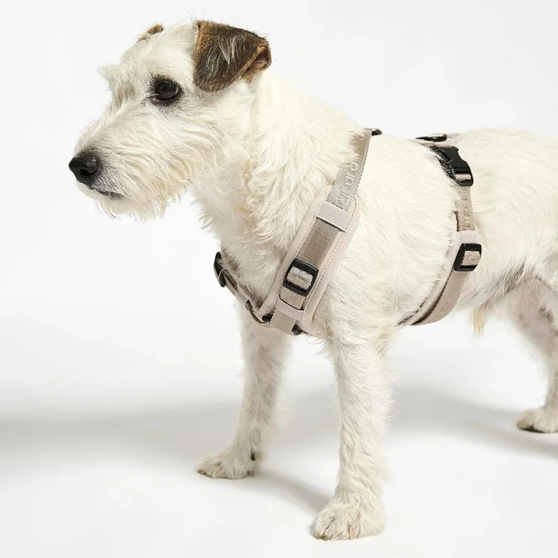Modena Hundegeschirr Greige