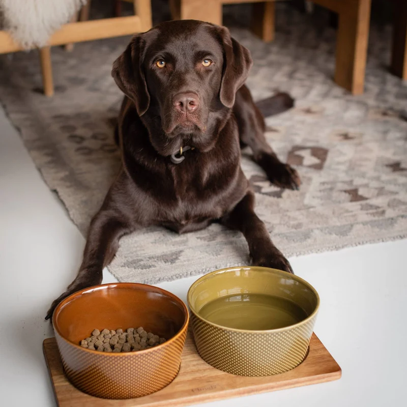 Napfunterlage Dog Station Akazienholz