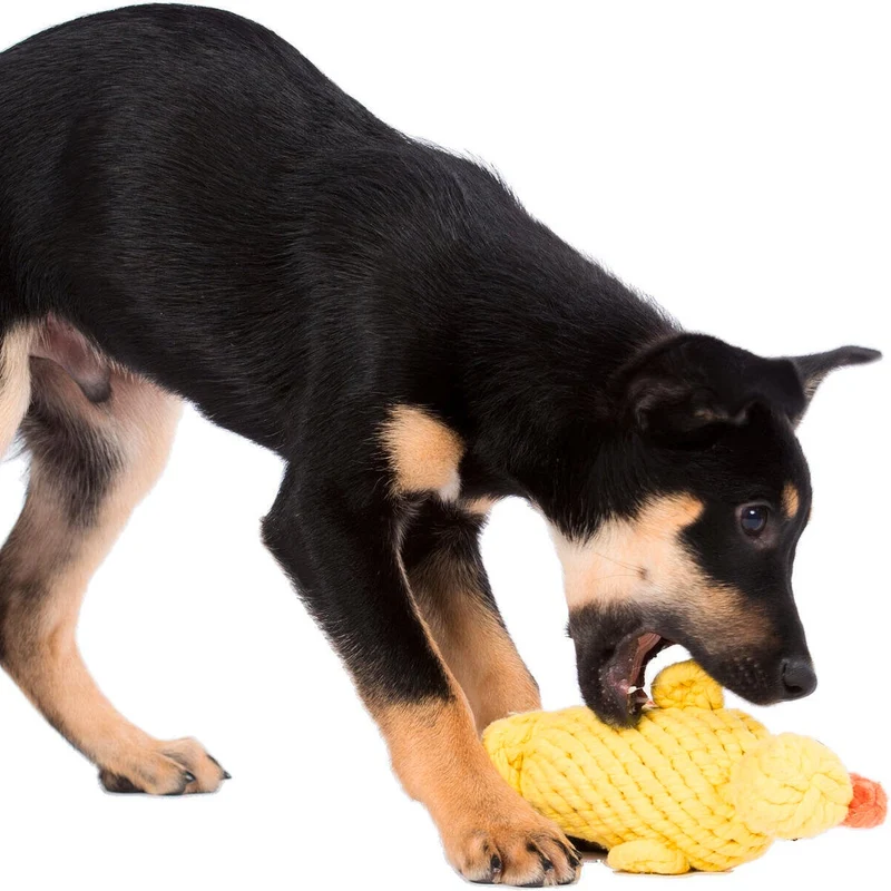 Hundespielzeug Emma Ente