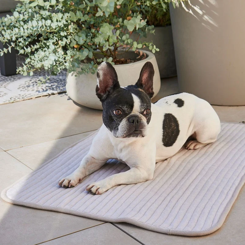 Onda Hundedecke Greige
