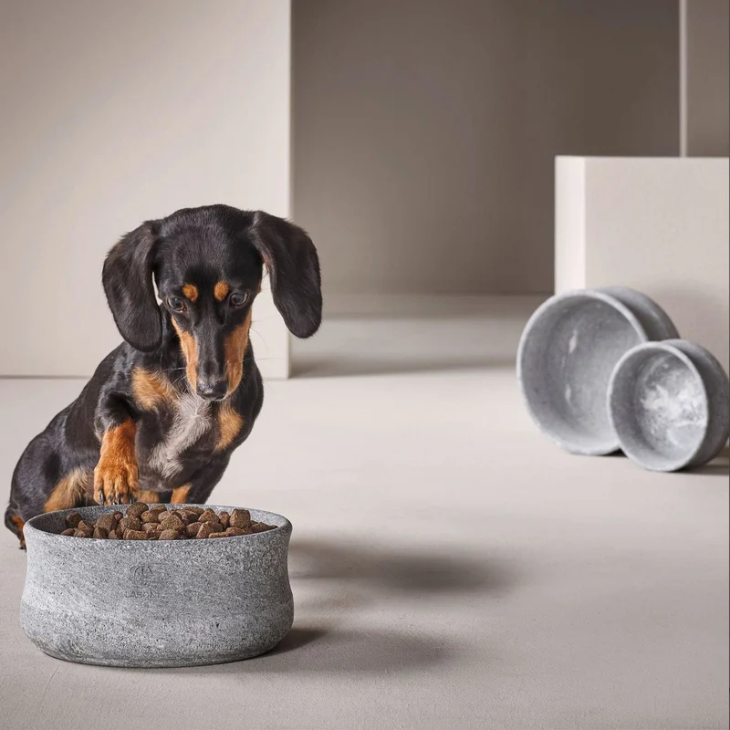 Hundenapf Rocky