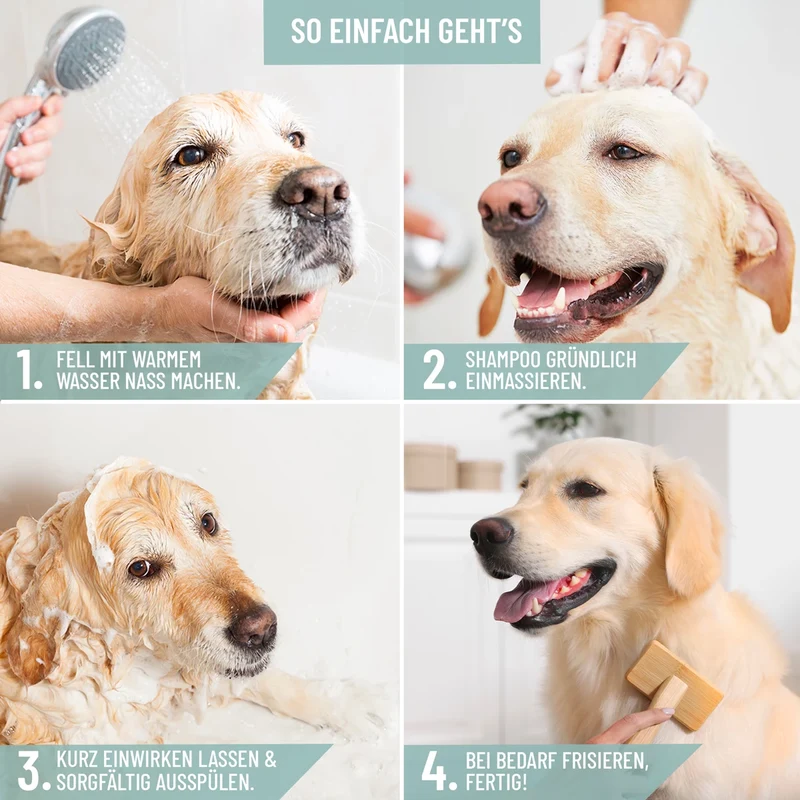 Pflegeshampoo Kokos