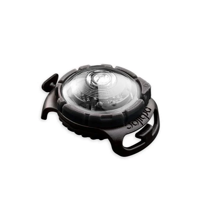 Orbiloc Sicherheitslicht Dog Dual White