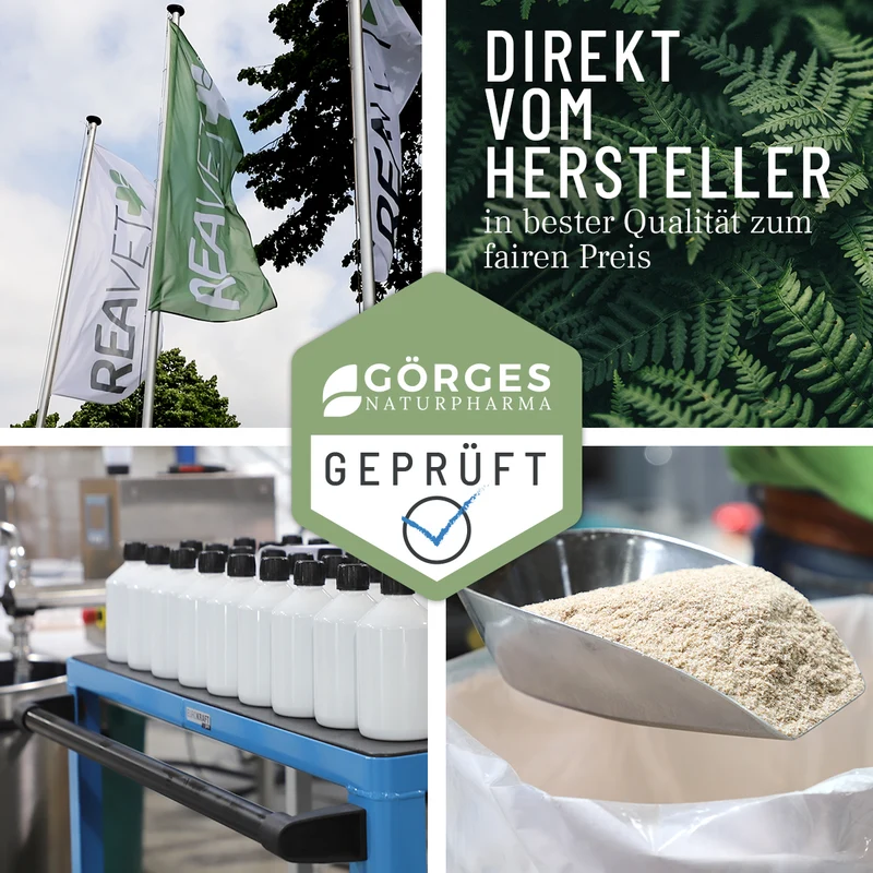 EctoStop Reiniger