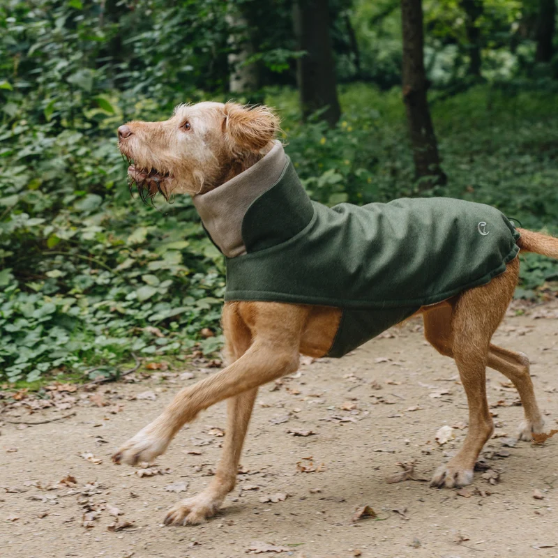 Hundemantel Brooklyn Flanell Fern Green