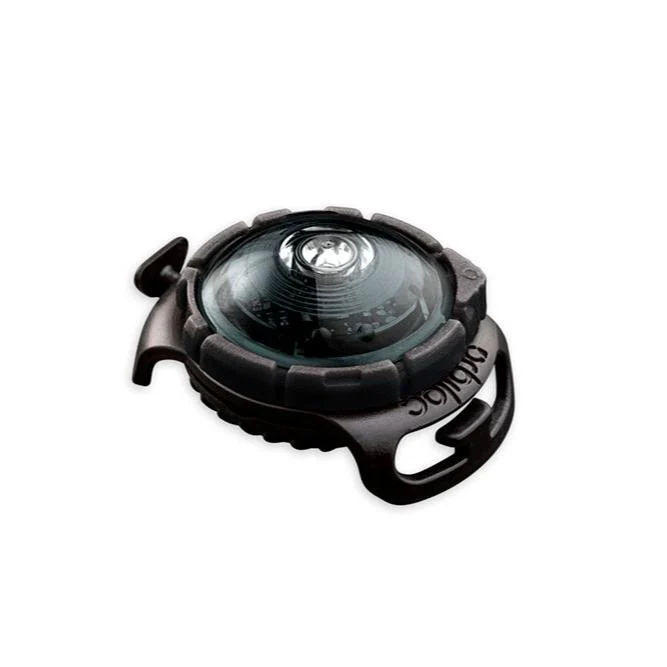 Orbiloc Sicherheitslicht Dog Dual Dark