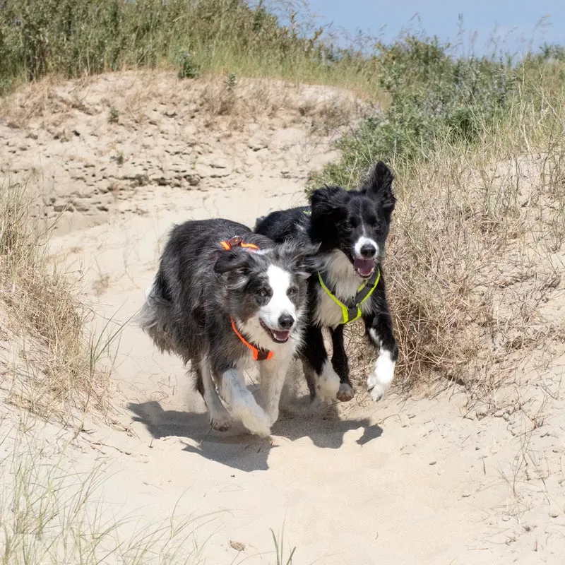 Hundegeschirr PROTECT Leuchtgelb/Grau