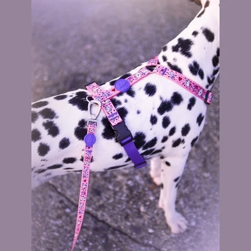 Morso Hundegeschirr Leine Recycelt Süss Tweet Rosa