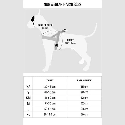 Morso Norwegisches Hundegeschirr Recycelt Urban Lizard Rot