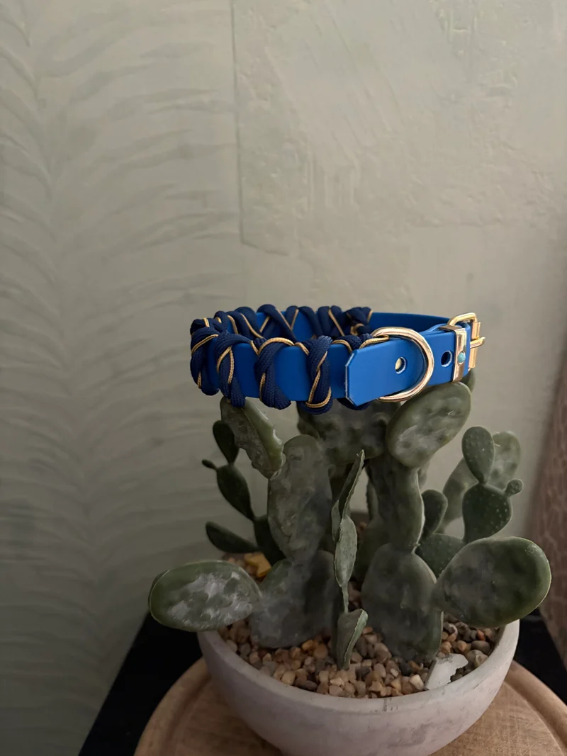 Halsband Royal