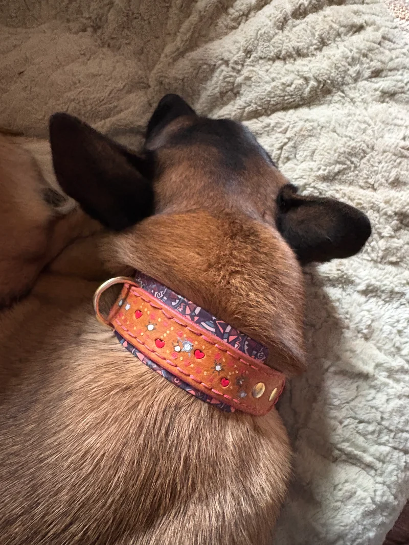 Halsband Cutie